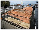 IMG_9940.JPG
