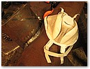 IMG_9884.JPG