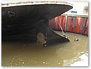 IMG_1907.JPG