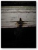 IMG_2100.JPG