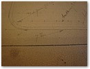 IMG_3210.JPG
