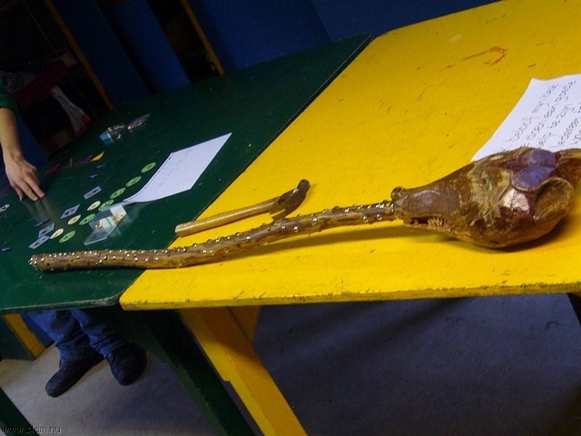 P1040564.jpg
