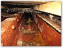 IMG_3570.JPG
