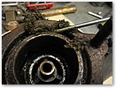 IMG_3950.JPG