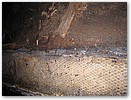 IMG_4085.JPG