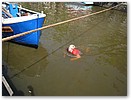 IMG_4881.JPG