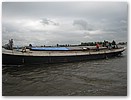 IMG_5912.JPG