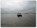 IMG_5916.JPG