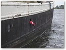 IMG_5931.JPG