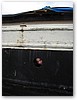 IMG_5935.JPG