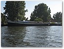 IMG_5937.JPG