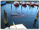 IMG_5955.JPG