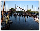 IMG_5960.JPG