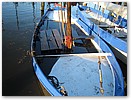IMG_5963.JPG