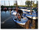IMG_5964.JPG