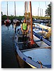 IMG_5980.JPG