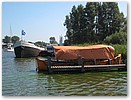 IMG_8352.JPG