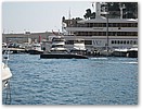 IMG_8803.JPG