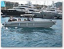IMG_8805.JPG