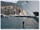 IMG_8807.JPG