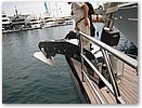 IMG_8836.JPG