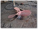 IMG_9236.JPG