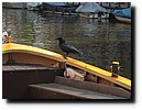 IMG_2600.JPG