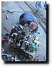 IMG_2977.JPG