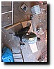IMG_3373.JPG