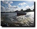 IMG_3542.JPG