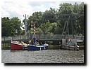 IMG_4370.JPG