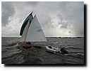 IMG_4429.JPG