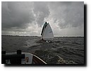 IMG_4430.JPG