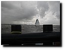 IMG_4431.JPG