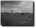 IMG_4433.JPG