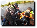 IMG_4461.JPG