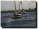 IMG_4469.JPG