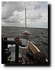 IMG_4479.JPG