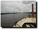 IMG_4494.JPG