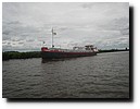 IMG_4497.JPG