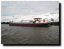 IMG_4498.JPG