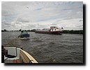 IMG_4499.JPG