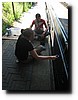 IMG_5161.JPG