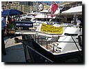 IMG_6390.JPG