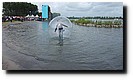 P1050802.JPG