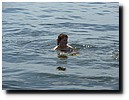P1060042.JPG