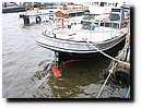 IMG_6423.JPG