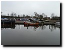 P1000374.JPG