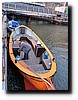 01_koninginnenacht_055.JPG