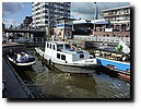 P1150043.JPG